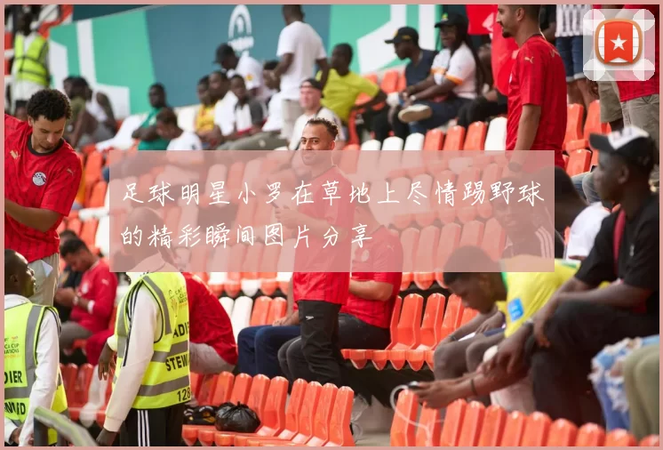 足球明星小罗在草地上尽情踢野球的精彩瞬间图片分享