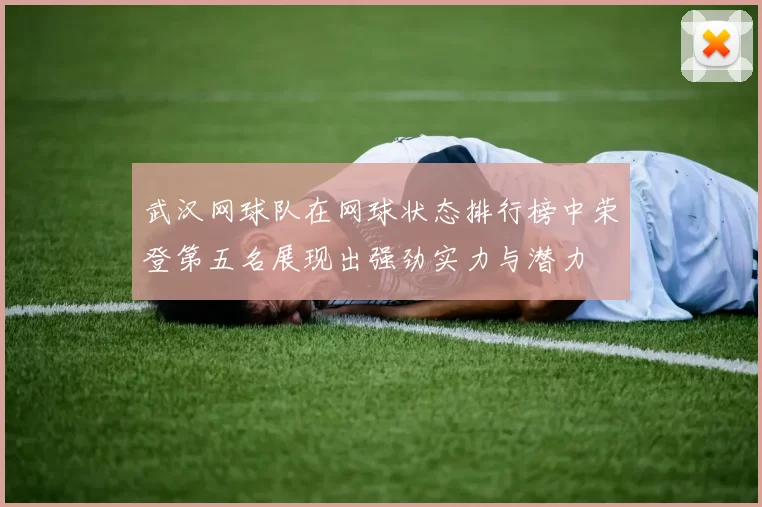 武汉网球队在网球状态排行榜中荣登第五名展现出强劲实力与潜力