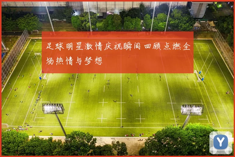 足球明星激情庆祝瞬间回顾点燃全场热情与梦想