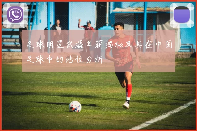 足球明星武磊年薪揭秘及其在中国足球中的地位分析