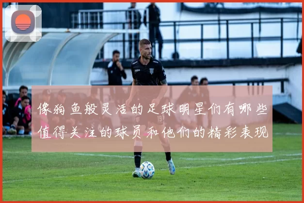 像狗鱼般灵活的足球明星们有哪些值得关注的球员和他们的精彩表现