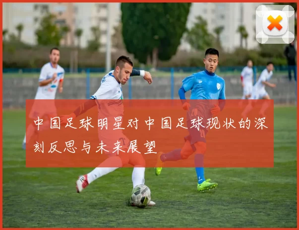 中国足球明星对中国足球现状的深刻反思与未来展望
