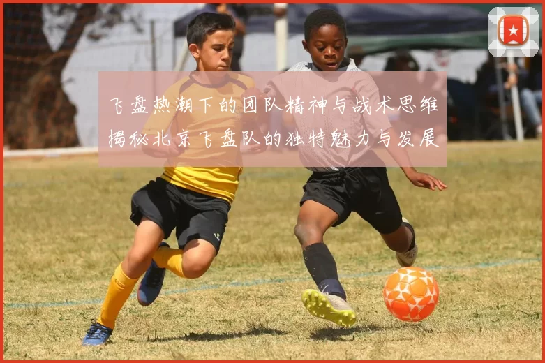 飞盘热潮下的团队精神与战术思维揭秘北京飞盘队的独特魅力与发展之路