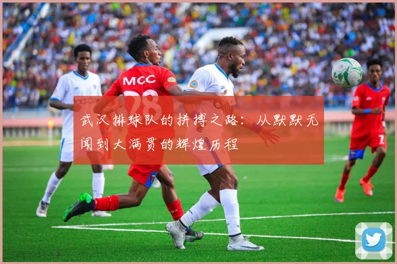 武汉排球队的拼搏之路：从默默无闻到大满贯的辉煌历程