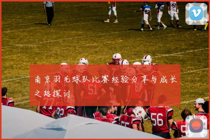南京羽毛球队比赛经验分享与成长之路探讨
