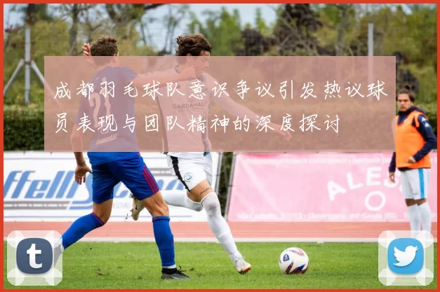 成都羽毛球队意识争议引发热议球员表现与团队精神的深度探讨