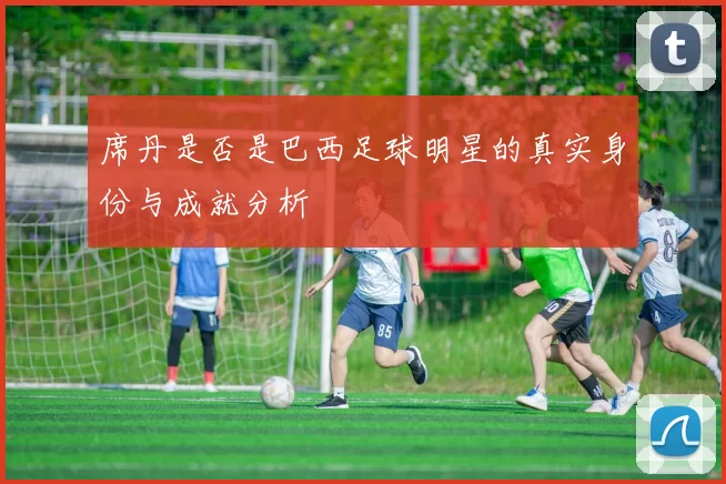 席丹是否是巴西足球明星的真实身份与成就分析