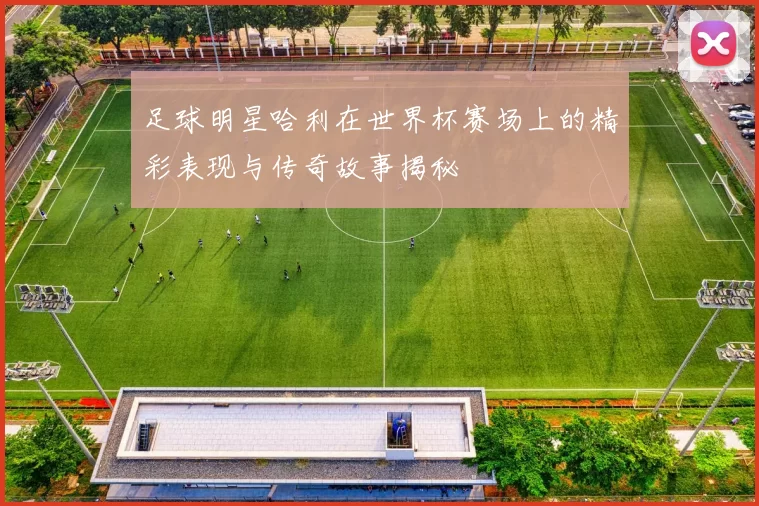 足球明星哈利在世界杯赛场上的精彩表现与传奇故事揭秘