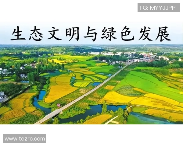 推动绿色发展政策创新加强生态文明建设促进高质量经济转型发展 推动绿色发展政策创新加强生态文明建设促进高质量经济转型发展