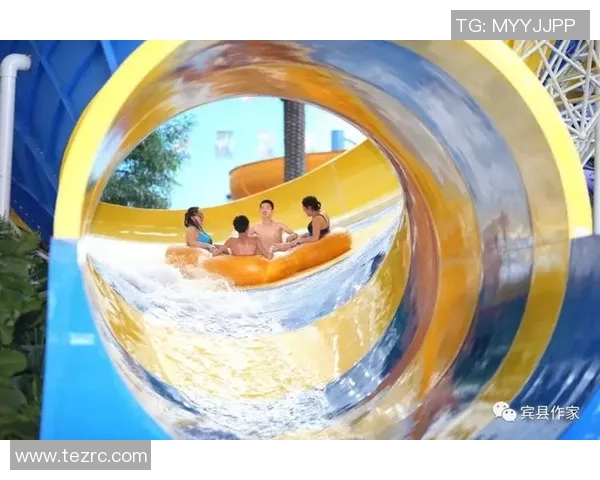 游泳魅力绽放 体坛盛会带你畅享水中风采与精彩表演