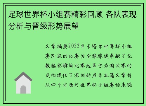足球世界杯小组赛精彩回顾 各队表现分析与晋级形势展望